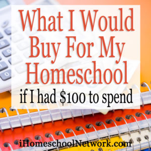 What-I-Would-Buy-With-$100-11292