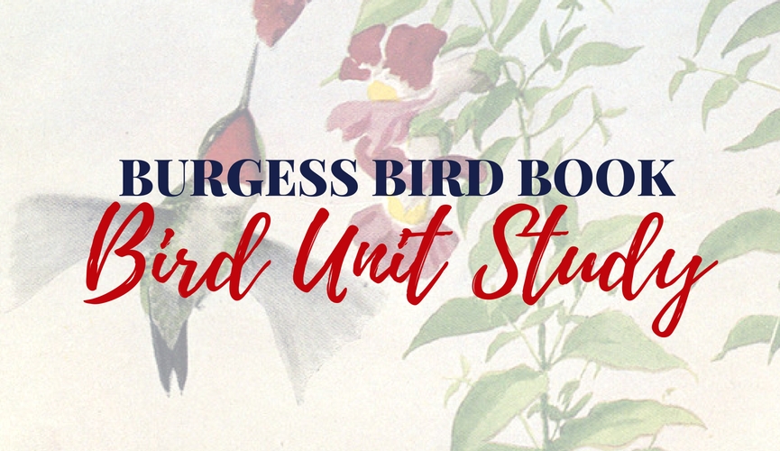 It is important to teach our children to appreciate God's creation and enjoy the beauty around us. I have gathered up some great resources to teach your students about birds! I hope you enjoy this Burgess Bird Book Unit Study!