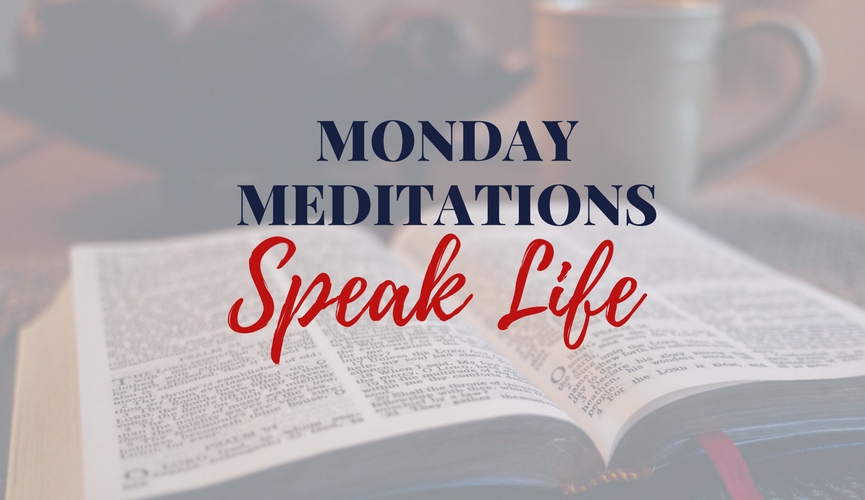 Sometimes it's easy to open mouth, insert foot and let our words hurt those we love. But Scripture encourages us to speak life into those around us.